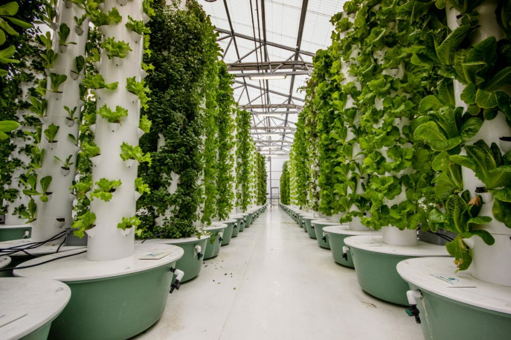 Vertical Farming