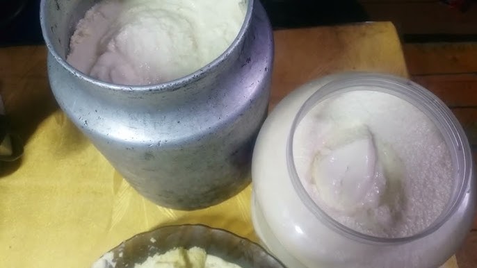 How to Make Traditional Mongolian Yogurt